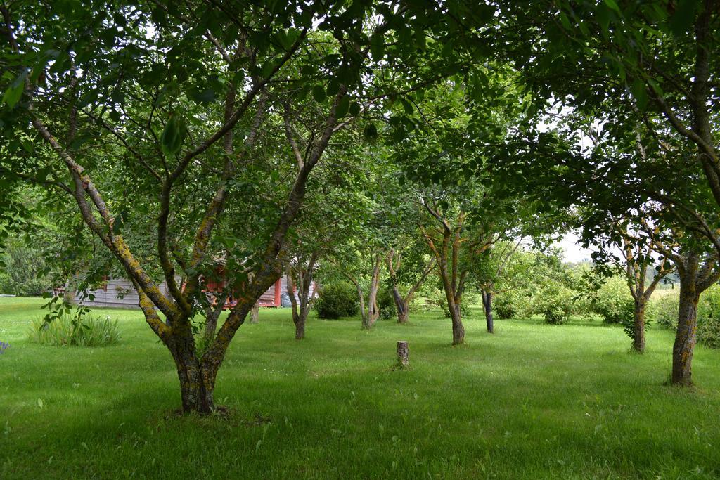 Toomalouka Tourist Farm Hotel Buitenkant foto